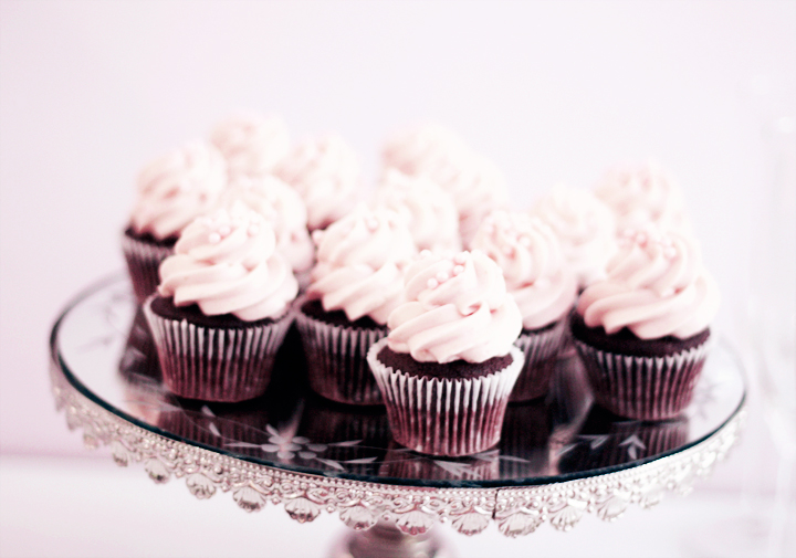 holy sweet cupcakes